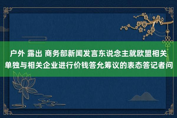 户外 露出 商务部新闻发言东说念主就欧盟相关单独与相关企业进行价钱答允筹议的表态答记者问