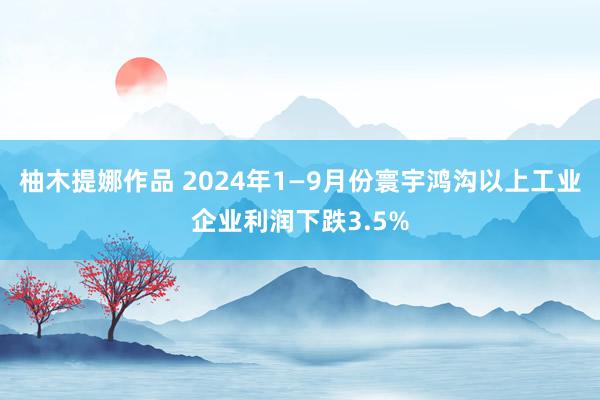 柚木提娜作品 2024年1—9月份寰宇鸿沟以上工业企业利润下跌3.5%