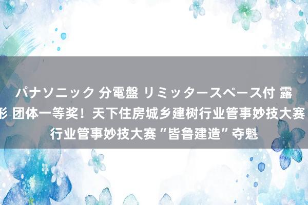 パナソニック 分電盤 リミッタースペース付 露出・半埋込両用形 团体一等奖！天下住房城乡建树行业管事妙技大赛“皆鲁建造”夺魁