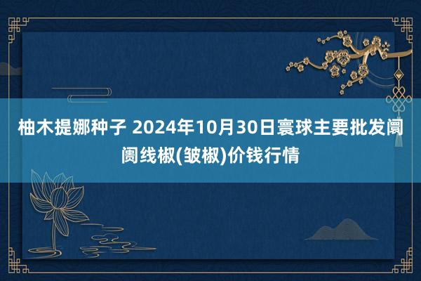 柚木提娜种子 2024年10月30日寰球主要批发阛阓线椒(皱椒)价钱行情