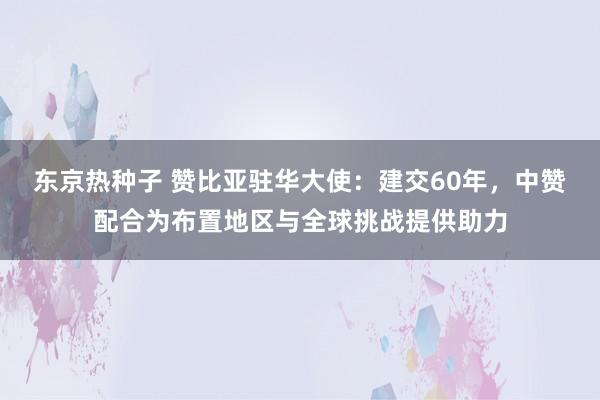 东京热种子 赞比亚驻华大使：建交60年，中赞配合为布置地区与全球挑战提供助力