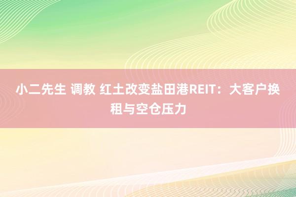 小二先生 调教 红土改变盐田港REIT：大客户换租与空仓压力