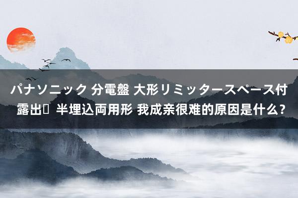 パナソニック 分電盤 大形リミッタースペース付 露出・半埋込両用形 我成亲很难的原因是什么？