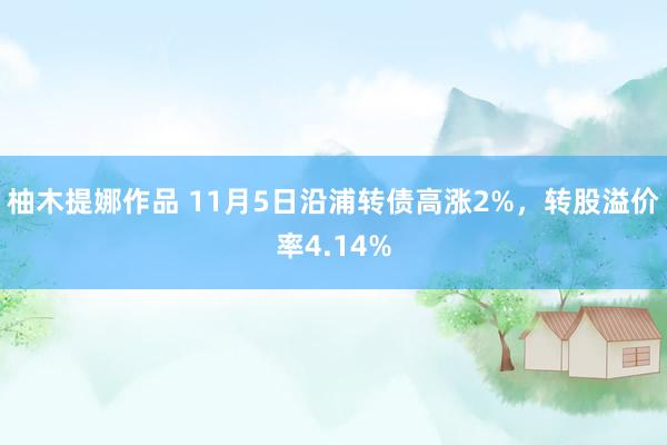 柚木提娜作品 11月5日沿浦转债高涨2%，转股溢价率4.14%