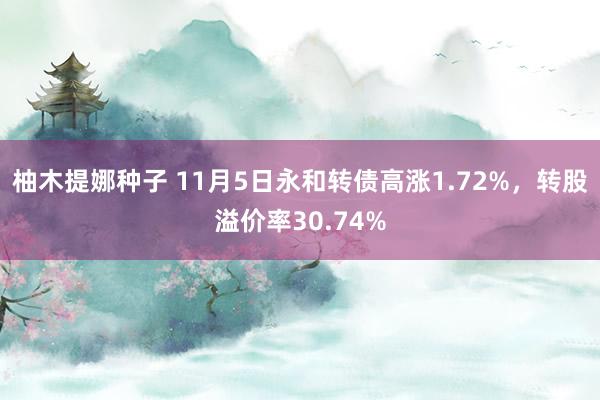 柚木提娜种子 11月5日永和转债高涨1.72%，转股溢价率30.74%