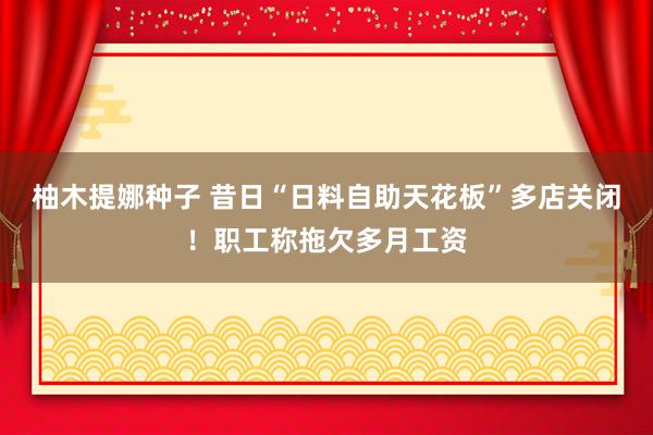 柚木提娜种子 昔日“日料自助天花板”多店关闭！职工称拖欠多月工资