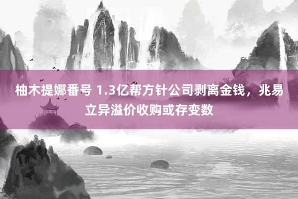 柚木提娜番号 1.3亿帮方针公司剥离金钱，兆易立异溢价收购或存变数