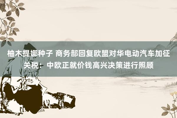 柚木提娜种子 商务部回复欧盟对华电动汽车加征关税：中欧正就价钱高兴决策进行照顾