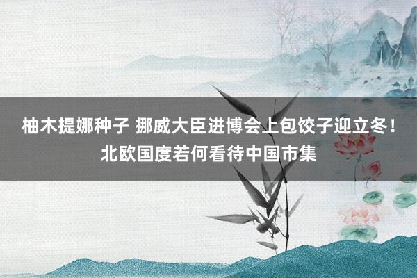 柚木提娜种子 挪威大臣进博会上包饺子迎立冬！北欧国度若何看待中国市集