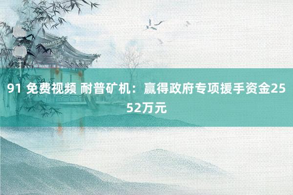 91 免费视频 耐普矿机：赢得政府专项援手资金2552万元