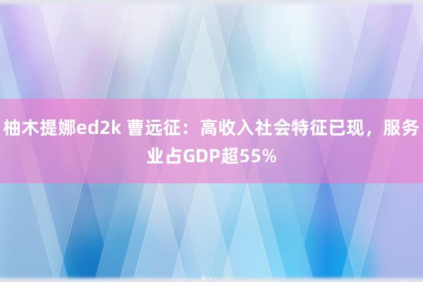 柚木提娜ed2k 曹远征：高收入社会特征已现，服务业占GDP超55%