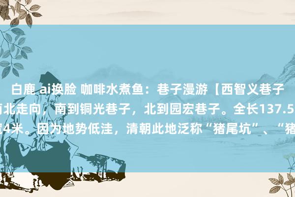 白鹿 ai换脸 咖啡水煮鱼：巷子漫游【西智义巷子】————西智义巷子为南北走向，南到铜光巷子，北到园宏巷子。全长137.5米，平均宽4米。因为地势低洼，清朝此地泛称“猪尾坑”、“猪尾大坑”、“猪尾巴大坑”。傍边...