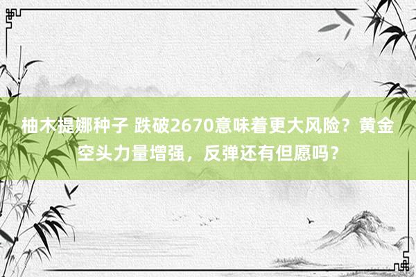 柚木提娜种子 跌破2670意味着更大风险？黄金空头力量增强，反弹还有但愿吗？