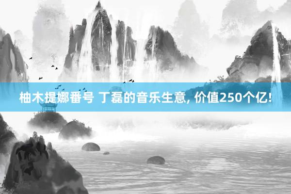 柚木提娜番号 丁磊的音乐生意， 价值250个亿!