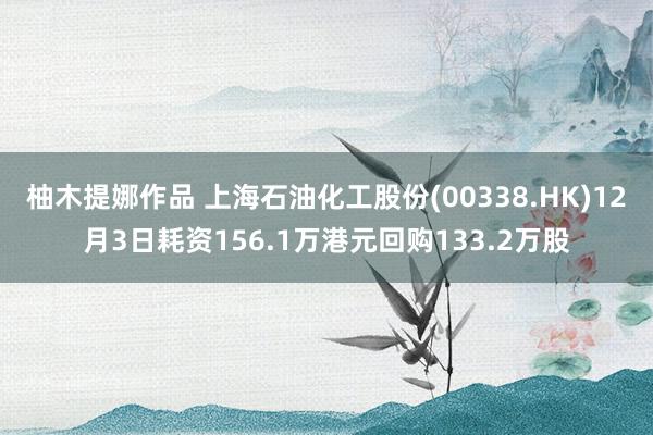 柚木提娜作品 上海石油化工股份(00338.HK)12月3日耗资156.1万港元回购133.2万股