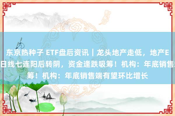 东京热种子 ETF盘后资讯｜龙头地产走低，地产ETF（159707）日线七连阳后转阴，资金逢跌吸筹！机构：年底销售端有望环比增长