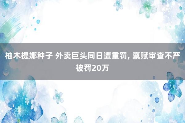 柚木提娜种子 外卖巨头同日遭重罚， 禀赋审查不严被罚20万