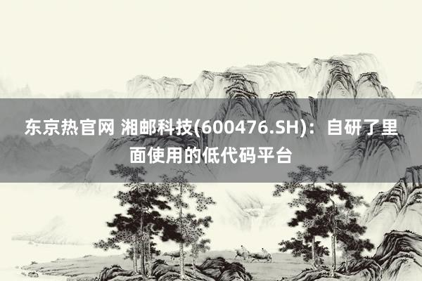 东京热官网 湘邮科技(600476.SH)：自研了里面使用的低代码平台