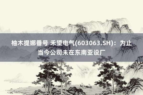 柚木提娜番号 禾望电气(603063.SH)：为止当今公司未在东南亚设厂