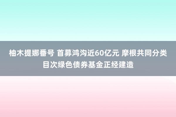 柚木提娜番号 首募鸿沟近60亿元 摩根共同分类目次绿色债券基金正经建造