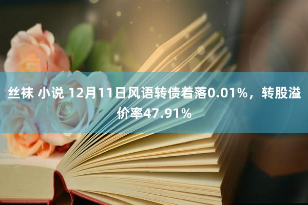 丝袜 小说 12月11日风语转债着落0.01%，转股溢价率47.91%