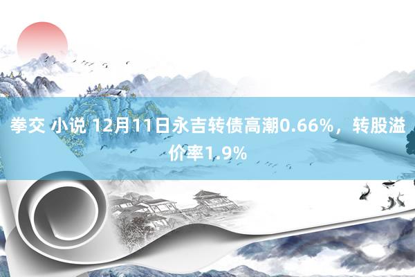 拳交 小说 12月11日永吉转债高潮0.66%，转股溢价率1.9%