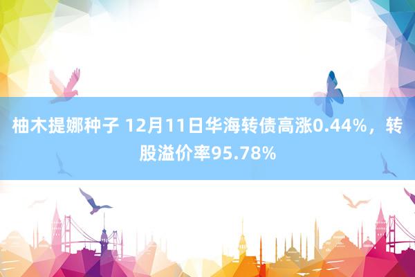 柚木提娜种子 12月11日华海转债高涨0.44%，转股溢价率95.78%