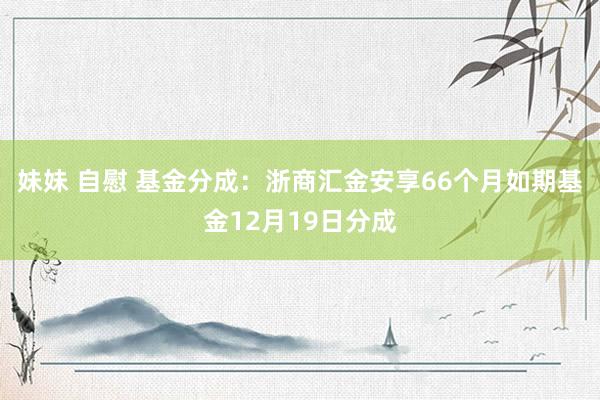 妹妹 自慰 基金分成：浙商汇金安享66个月如期基金12月19日分成