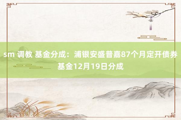 sm 调教 基金分成：浦银安盛普嘉87个月定开债券基金12月19日分成