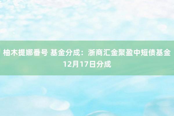 柚木提娜番号 基金分成：浙商汇金聚盈中短债基金12月17日分成