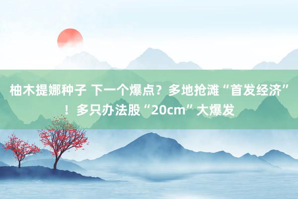 柚木提娜种子 下一个爆点？多地抢滩“首发经济”！多只办法股“20cm”大爆发