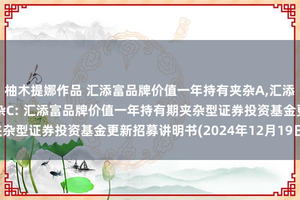 柚木提娜作品 汇添富品牌价值一年持有夹杂A，汇添富品牌价值一年持有夹杂C: 汇添富品牌价值一年持有期夹杂型证券投资基金更新招募讲明书(2024年12月19日更新)