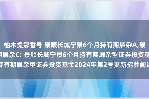 柚木提娜番号 景顺长城宁景6个月持有期羼杂A，景顺长城宁景6个月持有期羼杂C: 景顺长城宁景6个月持有期羼杂型证券投资基金2024年第2号更新招募阐述书