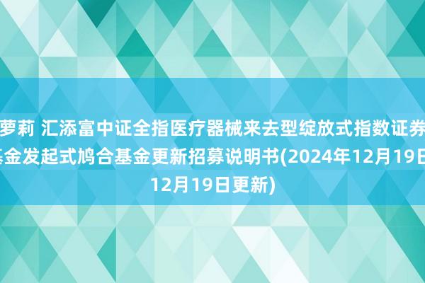 萝莉 汇添富中证全指医疗器械来去型绽放式指数证券投资基金发起式鸠合基金更新招募说明书(2024年12月19日更新)