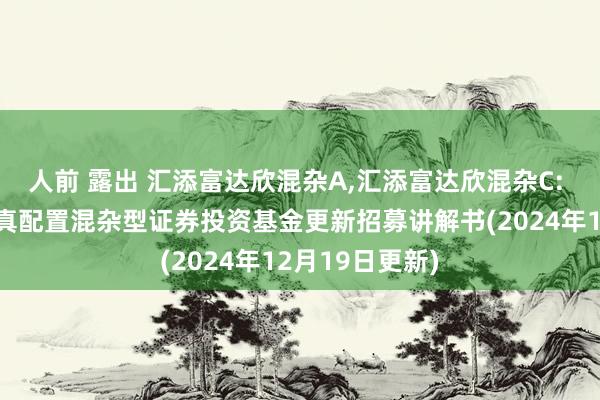 人前 露出 汇添富达欣混杂A，汇添富达欣混杂C: 汇添富达欣纯真配置混杂型证券投资基金更新招募讲解书(2024年12月19日更新)