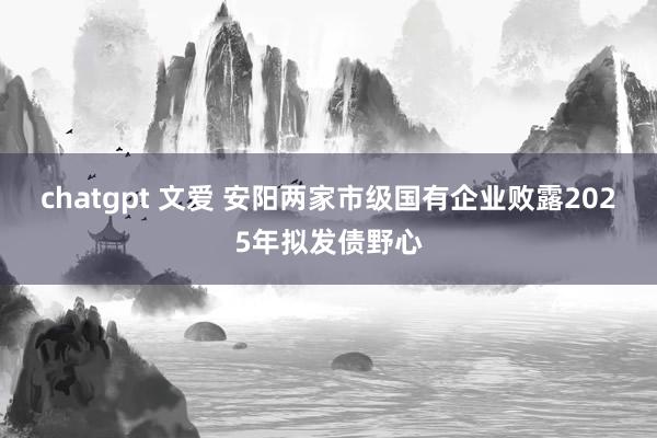 chatgpt 文爱 安阳两家市级国有企业败露2025年拟发债野心