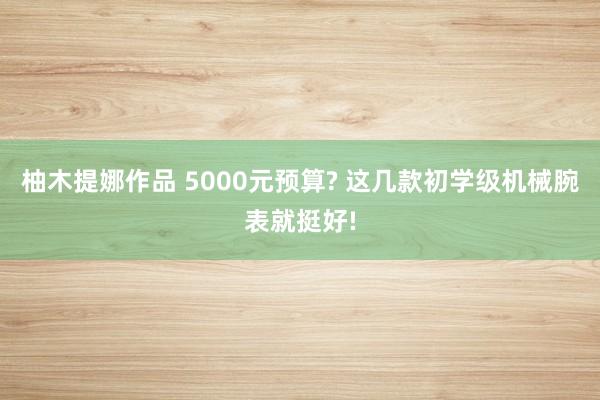 柚木提娜作品 5000元预算? 这几款初学级机械腕表就挺好!