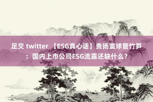 足交 twitter 【ESG真心话】责扬寰球管竹笋：国内上市公司ESG流露还缺什么？