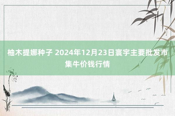 柚木提娜种子 2024年12月23日寰宇主要批发市集牛价钱行情