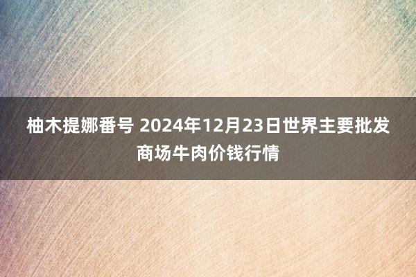 柚木提娜番号 2024年12月23日世界主要批发商场牛肉价钱行情