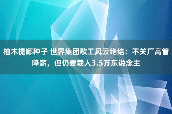 柚木提娜种子 世界集团歇工风云终结：不关厂高管降薪，但仍要裁人3.5万东说念主