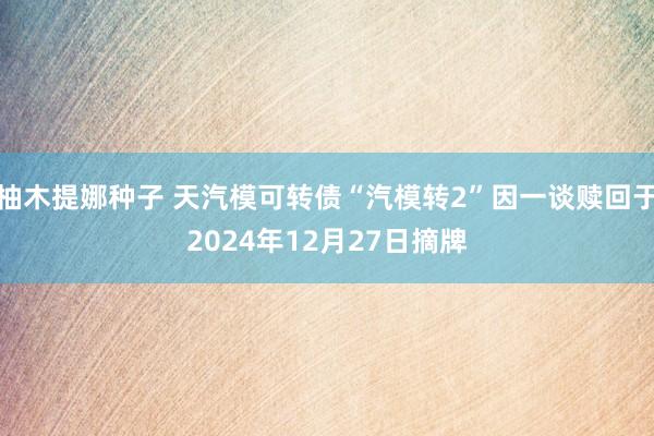 柚木提娜种子 天汽模可转债“汽模转2”因一谈赎回于2024年12月27日摘牌