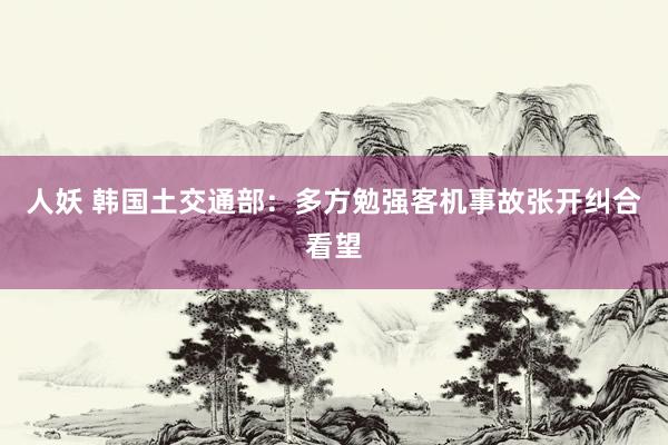 人妖 韩国土交通部：多方勉强客机事故张开纠合看望