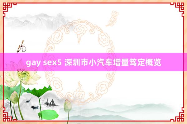 gay sex5 深圳市小汽车增量笃定概览