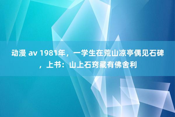 动漫 av 1981年，一学生在荒山凉亭偶见石碑，上书：山上石窍藏有佛舍利