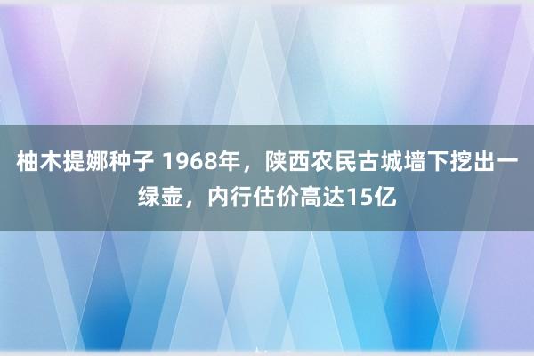 柚木提娜种子 1968年，陕西农民古城墙下挖出一绿壶，内行估价高达15亿