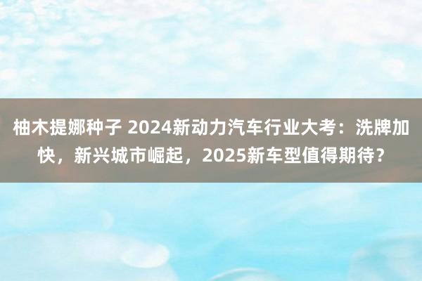 柚木提娜种子 2024新动力汽车行业大考：洗牌加快，新兴城市崛起，2025新车型值得期待？