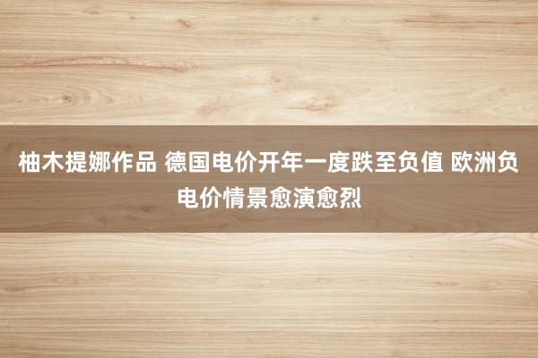 柚木提娜作品 德国电价开年一度跌至负值 欧洲负电价情景愈演愈烈