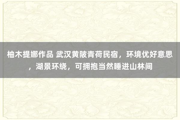 柚木提娜作品 武汉黄陂青荷民宿，环境优好意思，湖景环绕，可拥抱当然睡进山林间