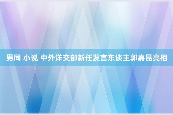 男同 小说 中外洋交部新任发言东谈主郭嘉昆亮相